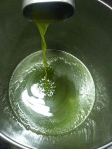 huile-d'olive-nouvelle-de-calabre2