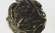 Linguine al nero di seppia